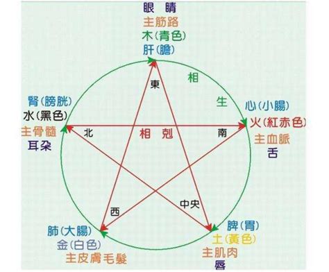 五行由來|五行的由來、衍變、邏輯與意義